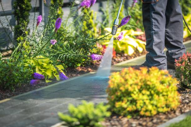 Best Pool Deck Cleaning  in Hurley, WI
