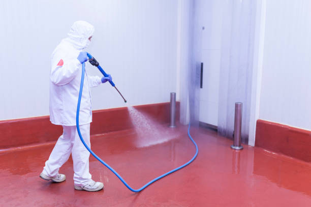 Best Graffiti Removal  in Hurley, WI